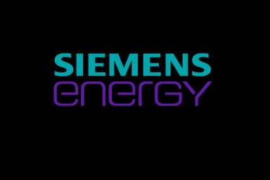 Customer Logo 1